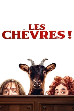 Les Chèvres !