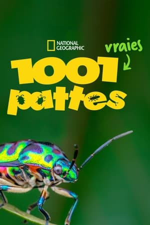 Regarder 1001 vraies pattes en Streaming