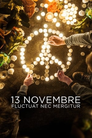 Regarder 13 novembre : Fluctuat nec mergitur en Streaming