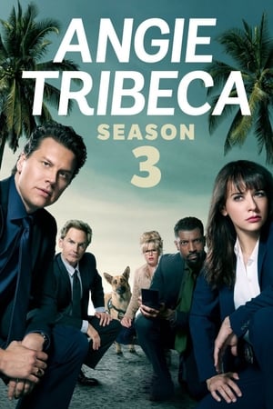 Angie Tribeca saison 3