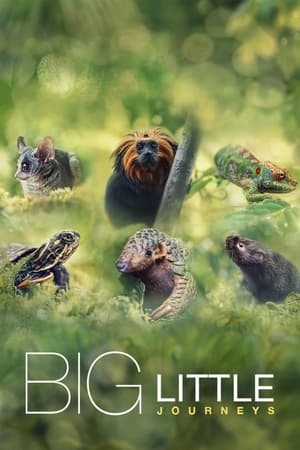 Regarder Big Little Journeys en Streaming