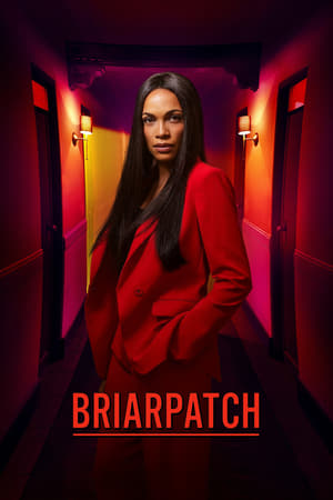 Briarpatch saison 1