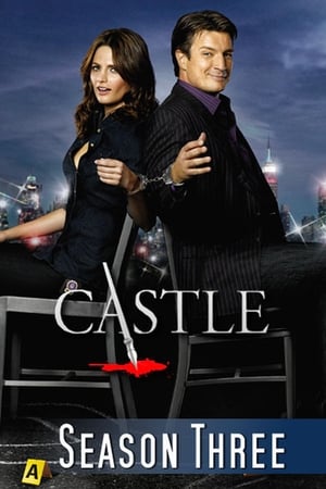 Castle saison 3