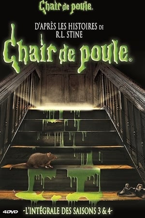 Chair de poule saison 4