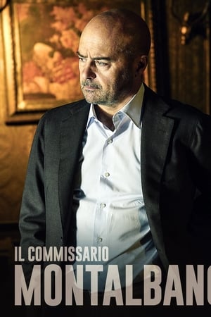 Regarder Commissaire Montalbano en Streaming