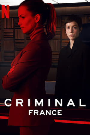 Criminal: France saison 1