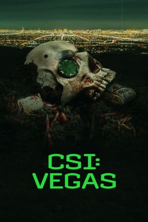 CSI: Vegas Saison 1 Episode 5