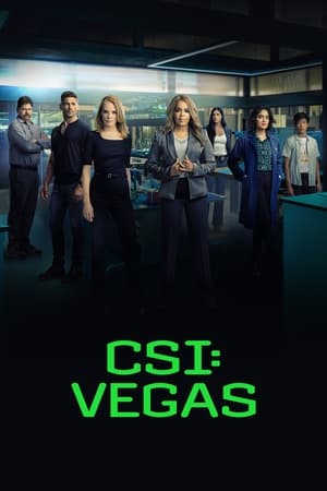 CSI: Vegas saison 2