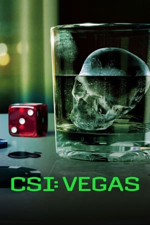 CSI: Vegas Saison 3 Episode 5