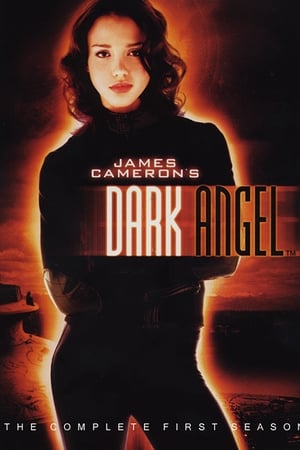 Dark Angel saison 1