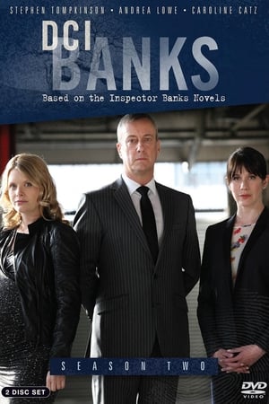 DCI Banks saison 2