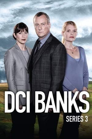 DCI Banks saison 3