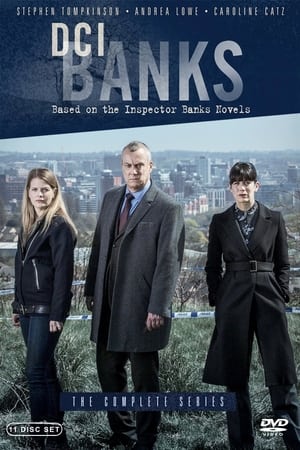 Regarder DCI Banks en Streaming