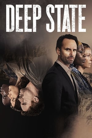 Regarder Deep State en Streaming