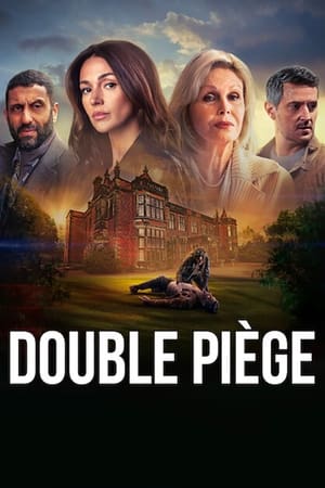 Regarder Double piège en Streaming