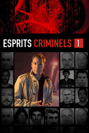 Esprits criminels saison 1