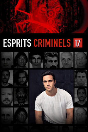 Esprits criminels Saison 17 Episode 5