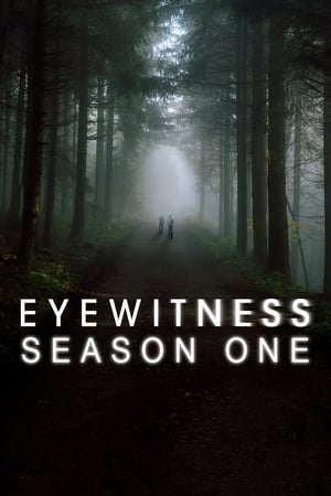 Eyewitness saison 1