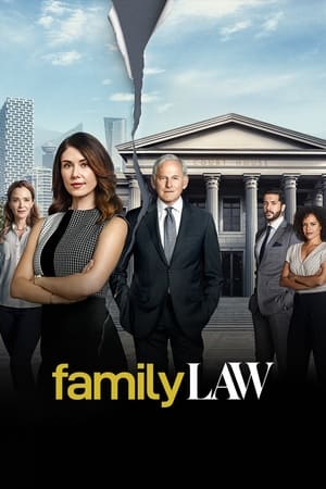 Family Law saison 1