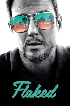 Regarder Flaked en Streaming