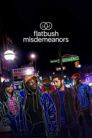 Flatbush Misdemeanors Saison 2 Episode 5