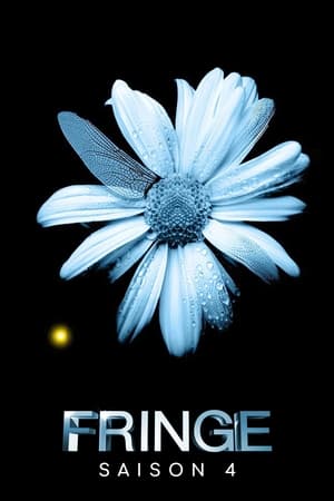 Fringe Saison 4 Episode 5