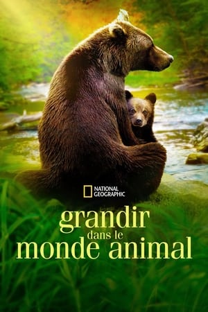 Regarder Grandir dans le monde animal en Streaming