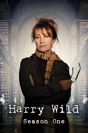 Harry Wild saison 1