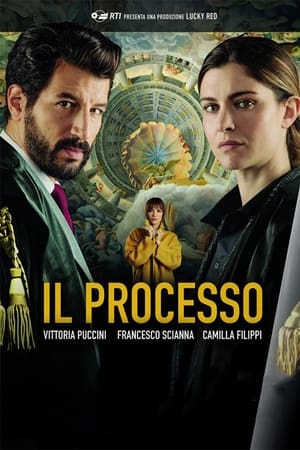 Il processo