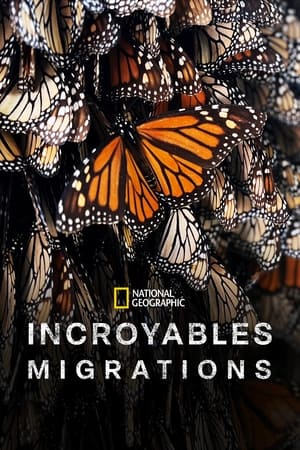 Regarder Incroyables migrations en Streaming