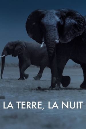 La Terre, La Nuit saison 1