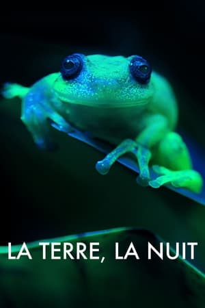 La Terre, La Nuit