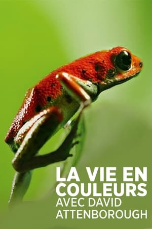 La vie en couleurs avec David Attenborough saison 1