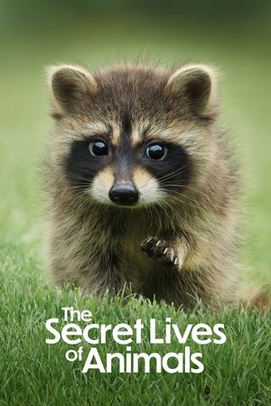 La Vie secrète des animaux saison 1