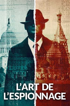 Regarder L'Art de l'espionnage en Streaming