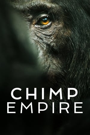 L'Empire des chimpanzés saison 1