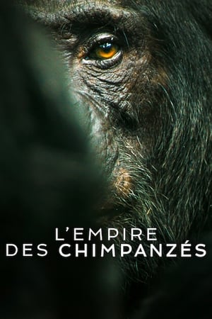 Regarder L'Empire des chimpanzés en Streaming