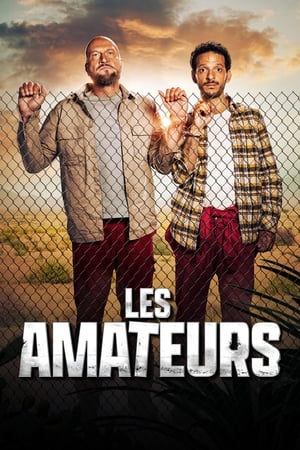 Regarder Les Amateurs en Streaming