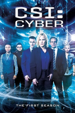 Les Experts : Cyber saison 1