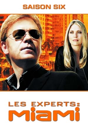 Les Experts : Miami saison 6