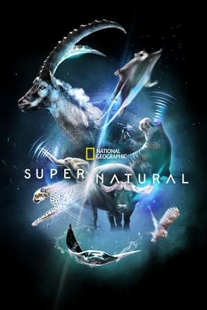 Les pouvoirs extraordinaires de la nature Saison 1 Episode 5