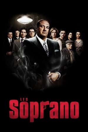 Regarder Les Soprano en Streaming