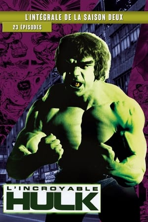 L'Incroyable Hulk saison 2