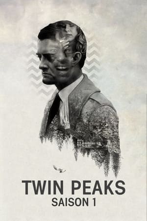 Mystères à Twin Peaks saison 1