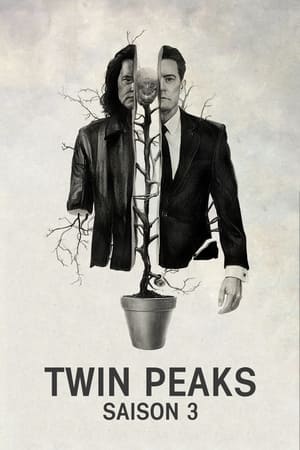 Mystères à Twin Peaks saison 3