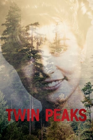 Regarder Mystères à Twin Peaks en Streaming