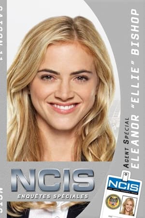 NCIS : Enquêtes spéciales saison 11