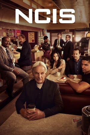 NCIS : Enquêtes spéciales saison 19