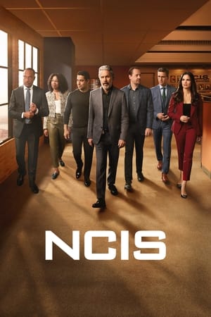 NCIS : Enquêtes spéciales saison 21