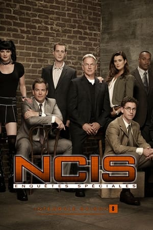 NCIS : Enquêtes spéciales Saison 8 Episode 5